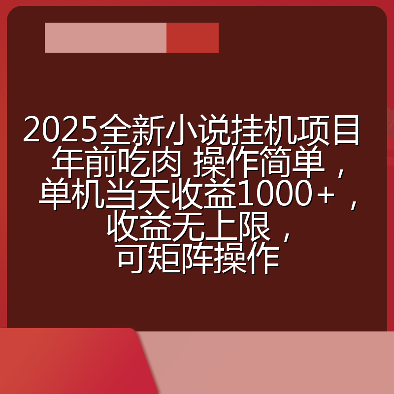 2025全新小说挂机项目 年前吃肉 操作简单，单机当天收益1000+，收益无上限，可矩阵操作