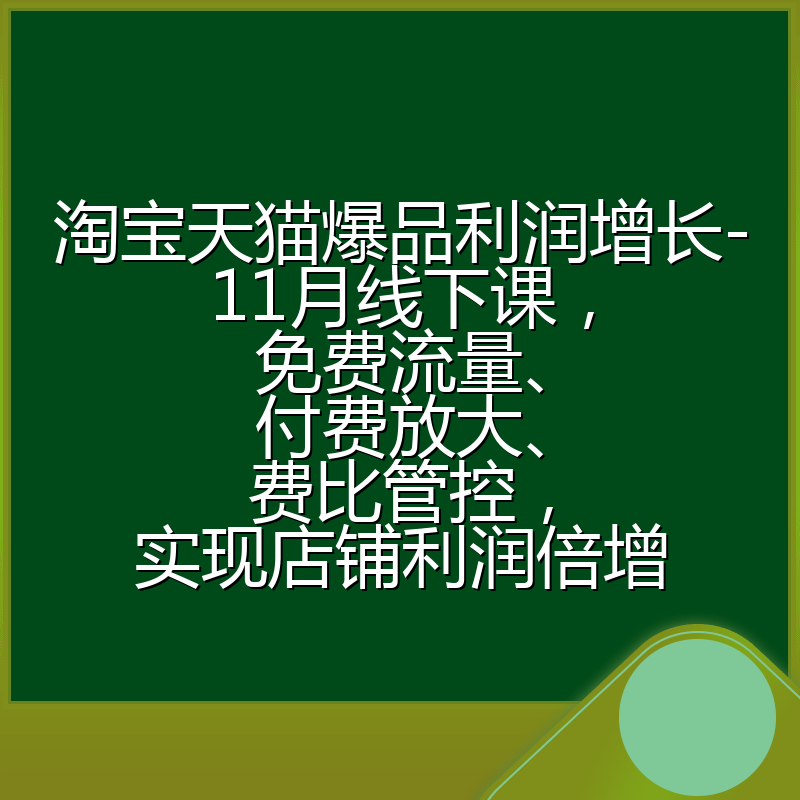 淘宝天猫爆品利润增长-11月线下课,免费流量、付费放大、费比管控,实现店铺利润倍增