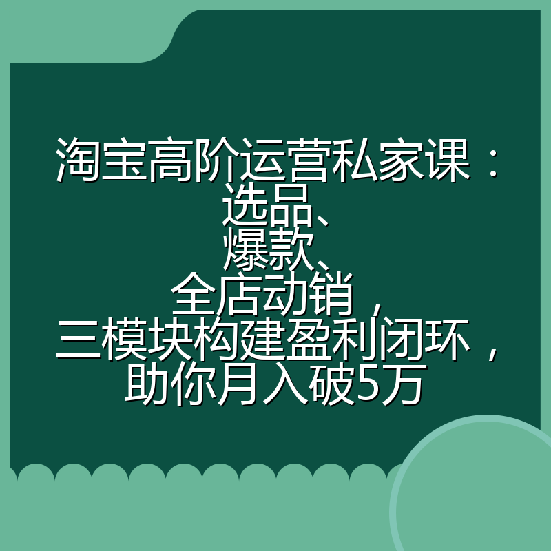 淘宝高阶运营私家课：选品、爆款、全店动销，三模块构建盈利闭环，助你月入破5万
