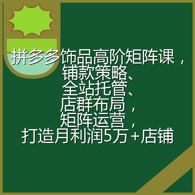 拼多多饰品高阶矩阵课，铺款策略、全站托管、店群布局，矩阵运营，打造月利润5万+店铺
