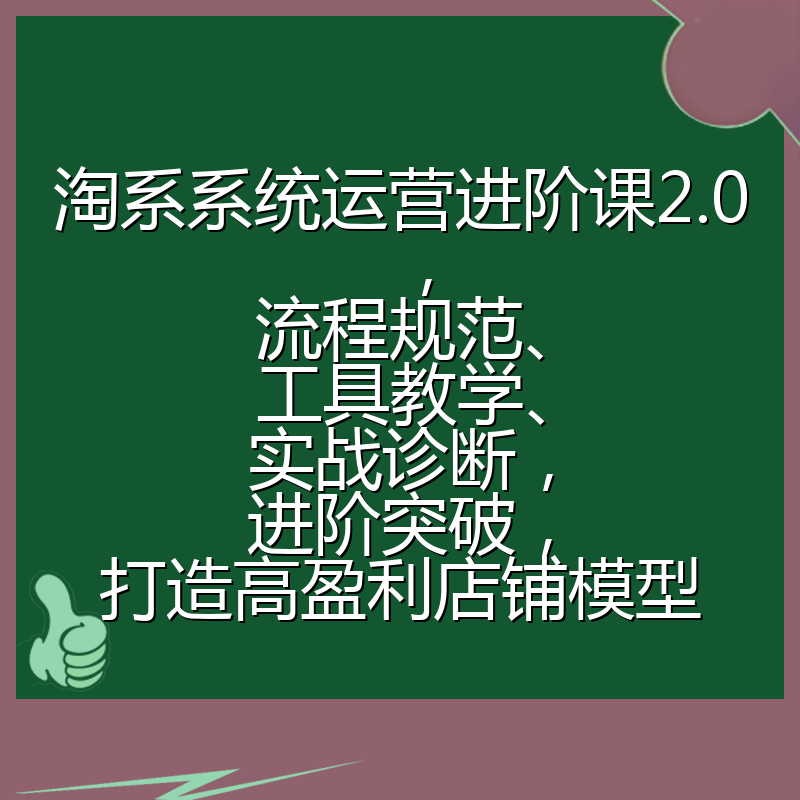 淘系系统运营进阶课2.0，流程规范、工具教学、实战诊断，进阶突破，打造高盈利店铺模型