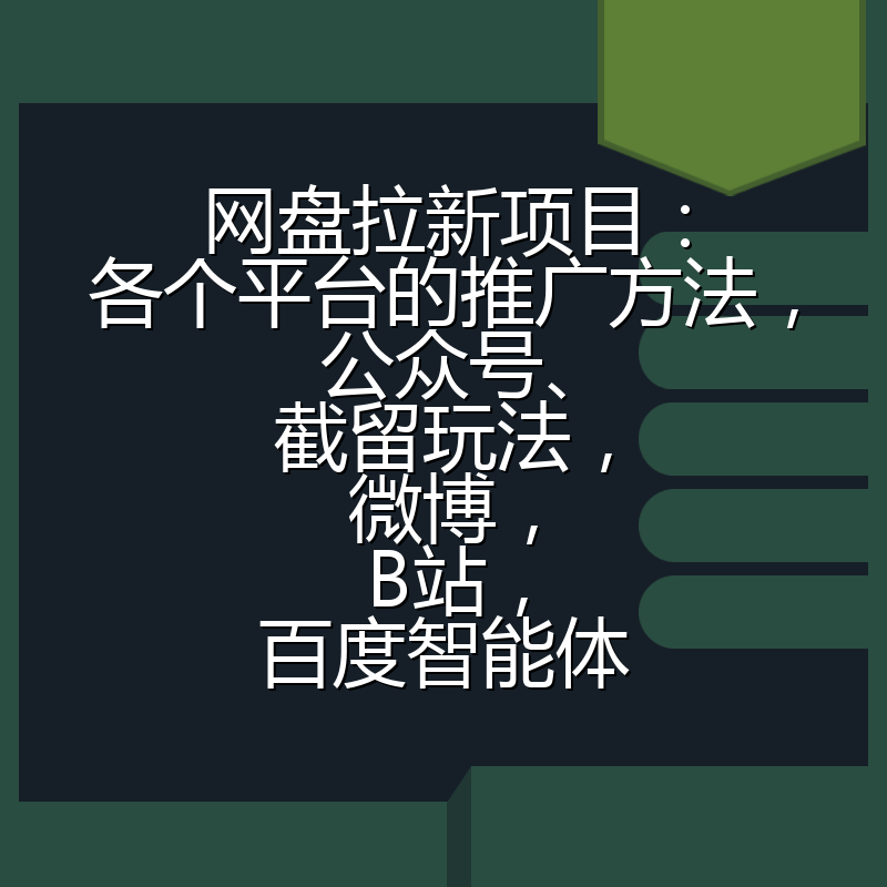 网盘拉新项目：各个平台的推广方法，公众号、截留玩法，微博，B站，百度智能体