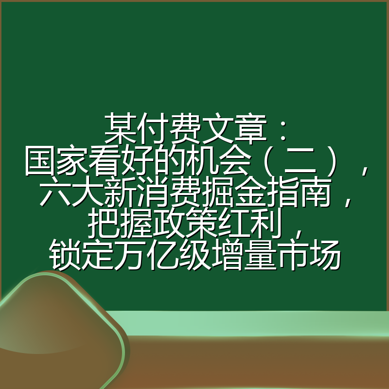 某付费文章：国家看好的机会（二），六大新消费掘金指南，把握政策红利，锁定万亿级增量市场