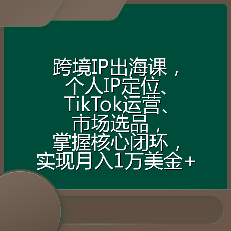 跨境IP出海课，个人IP定位、TikTok运营、市场选品，掌握核心闭环，实现月入1万美金+