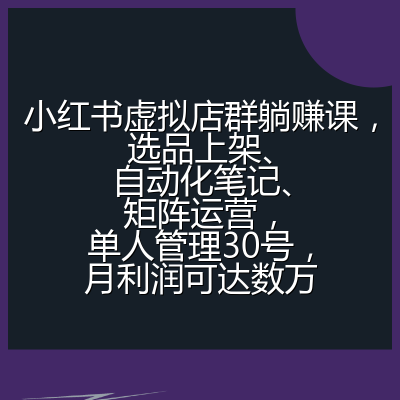 小红书虚拟店群躺赚课，选品上架、自动化笔记、矩阵运营，单人管理30号，月利润可达数万