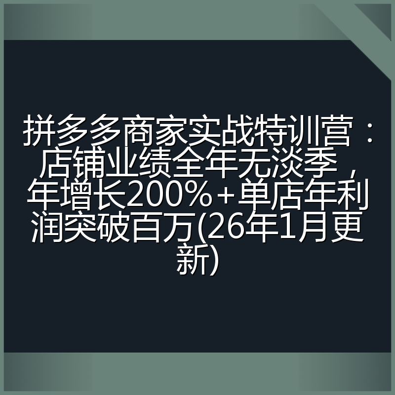 拼多多商家实战特训营：店铺业绩全年无淡季，年增长200%+单店年利润突破百万(26年1月更新)