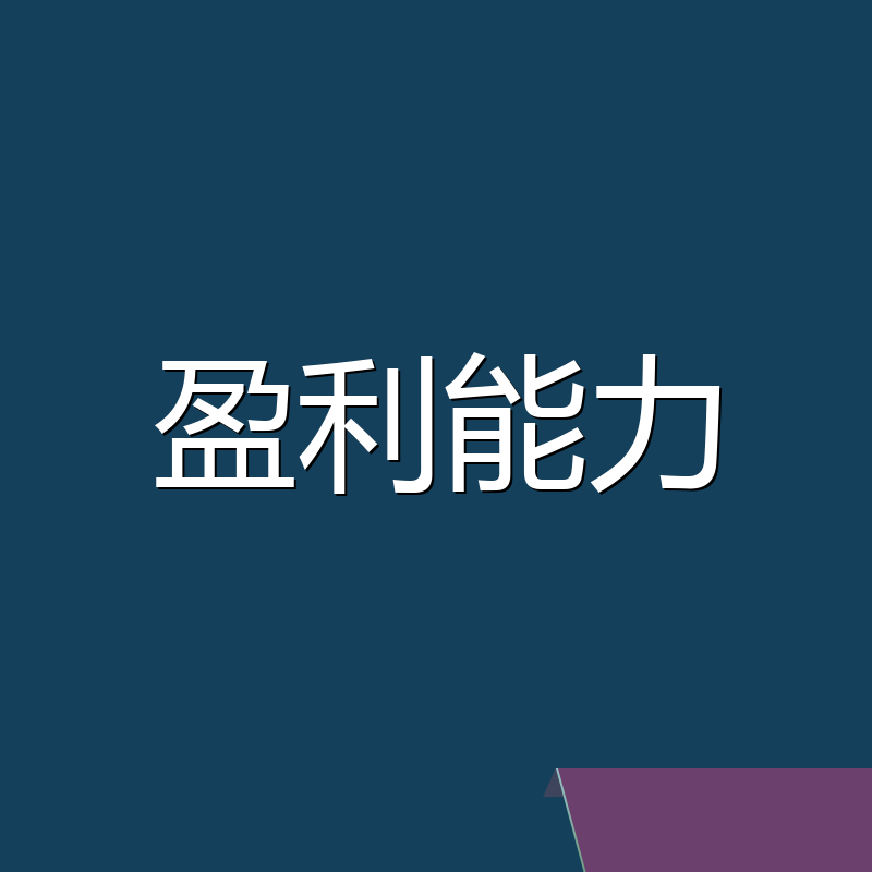 盈利能力
