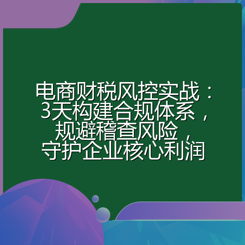 电商财税风控实战：3天构建合规体系，规避稽查风险，守护企业核心利润