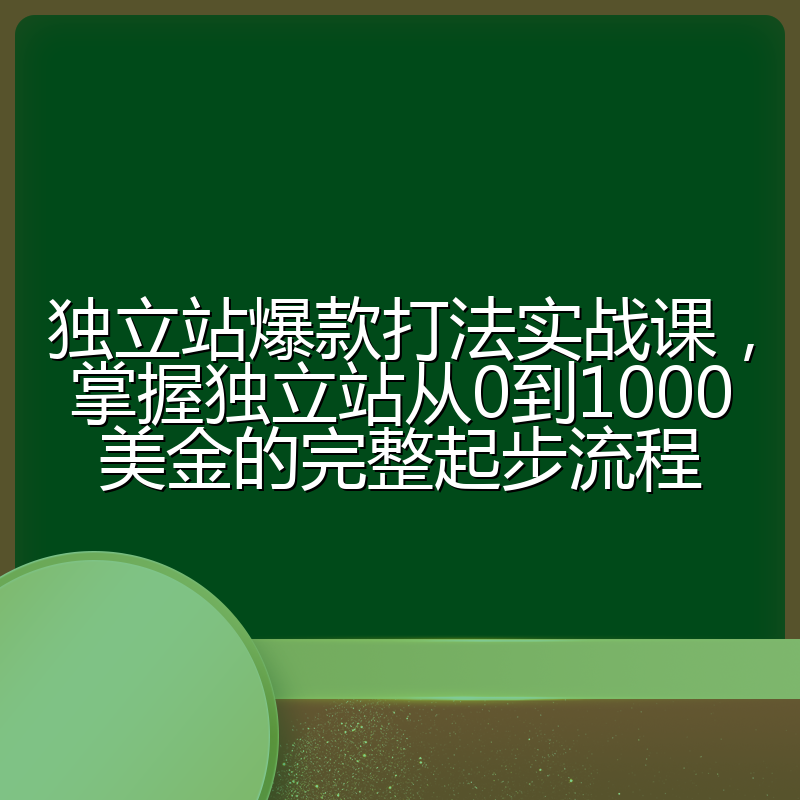 独立站爆款打法实战课，掌握独立站从0到1000美金的完整起步流程