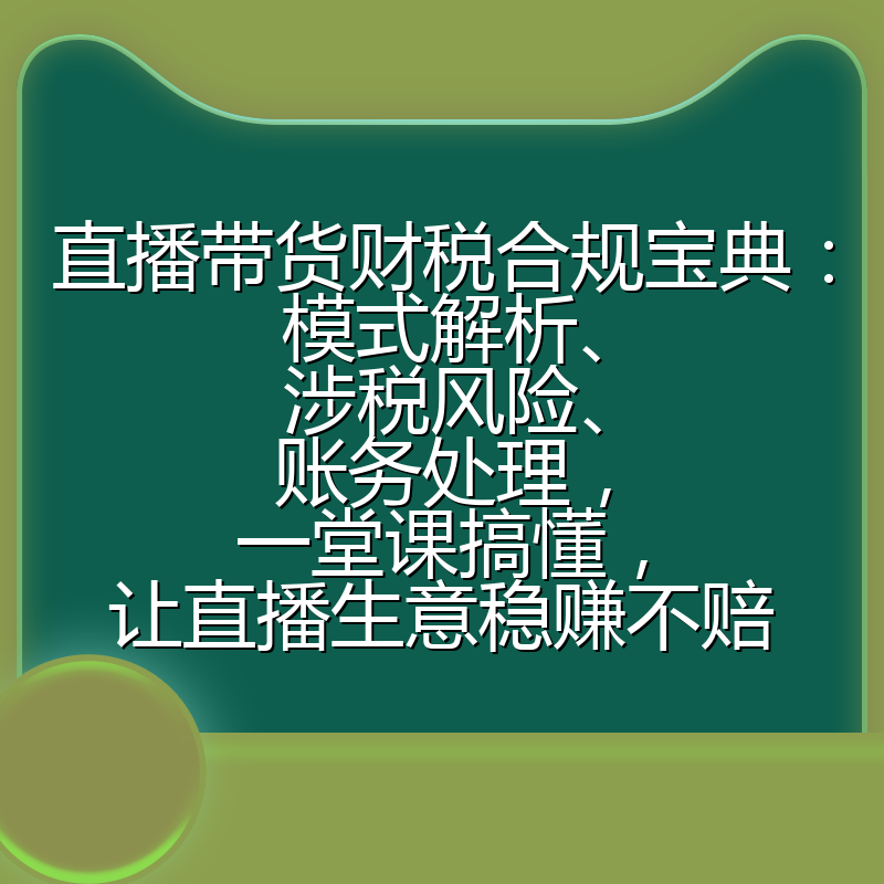直播带货财税合规宝典：模式解析、涉税风险、账务处理，一堂课搞懂，让直播生意稳赚不赔