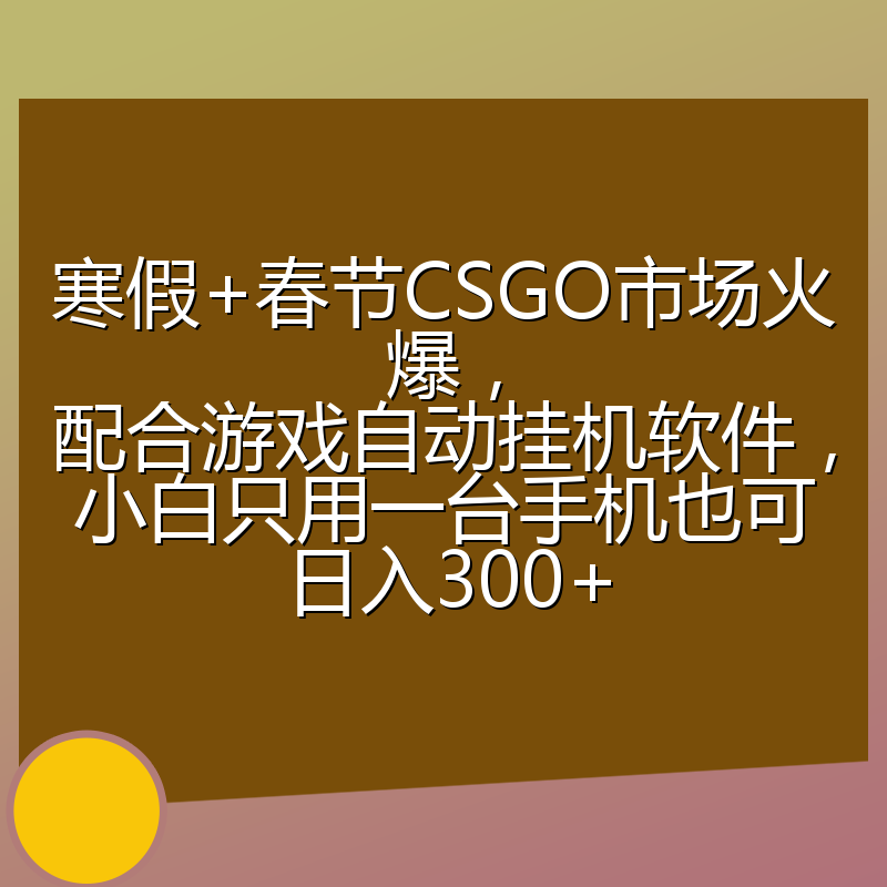 寒假+春节CSGO市场火爆，配合游戏自动挂机软件，小白只用一台手机也可日入300+