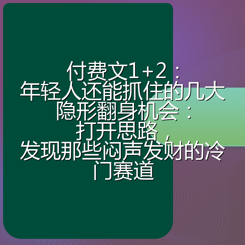 付费文1+2：年轻人还能抓住的几大隐形翻身机会：打开思路，发现那些闷声发财的冷门赛道