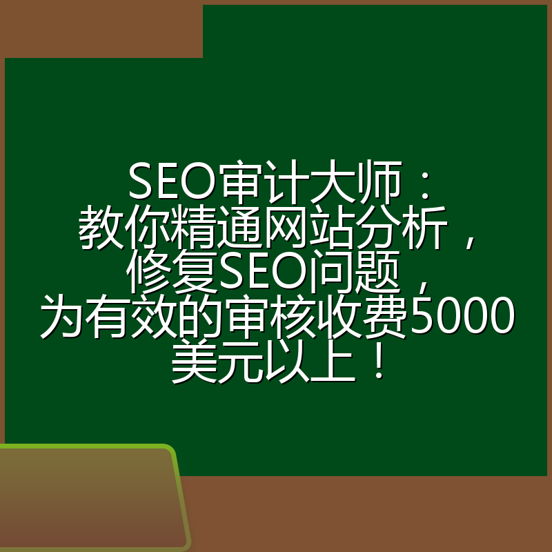 SEO审计大师：教你精通网站分析，修复SEO问题，为有效的审核收费5000美元以上！