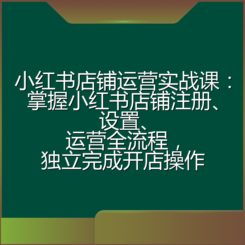 小红书店铺运营实战课:掌握小红书店铺注册、设置、运营全流程,独立完成开店操作