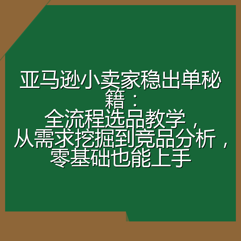 亚马逊小卖家稳出单秘籍:全流程选品教学,从需求挖掘到竞品分析,零基础也能上手