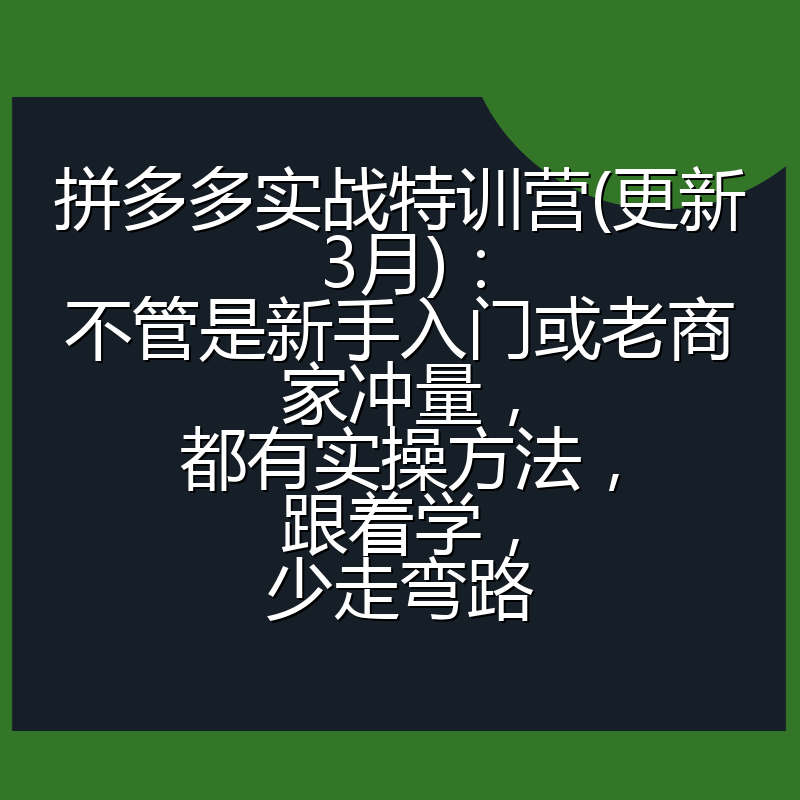 拼多多实战特训营(更新3月)：不管是新手入门或老商家冲量，都有实操方法，跟着学，少走弯路