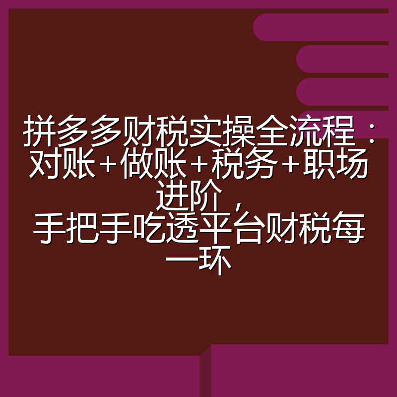 拼多多财税实操全流程：对账+做账+税务+职场进阶，手把手吃透平台财税每一环