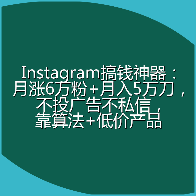 Instagram搞钱神器:月涨6万粉+月入5万刀,不投广告不私信,靠算法+低价产品