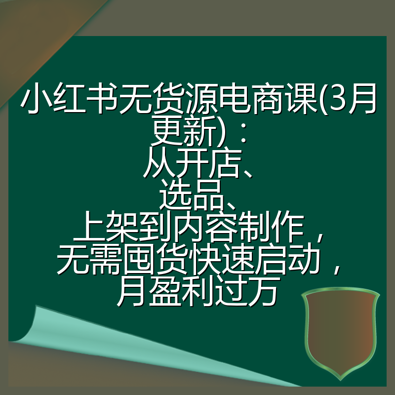 小红书无货源电商课(3月更新)：从开店、选品、上架到内容制作，无需囤货快速启动，月盈利过万