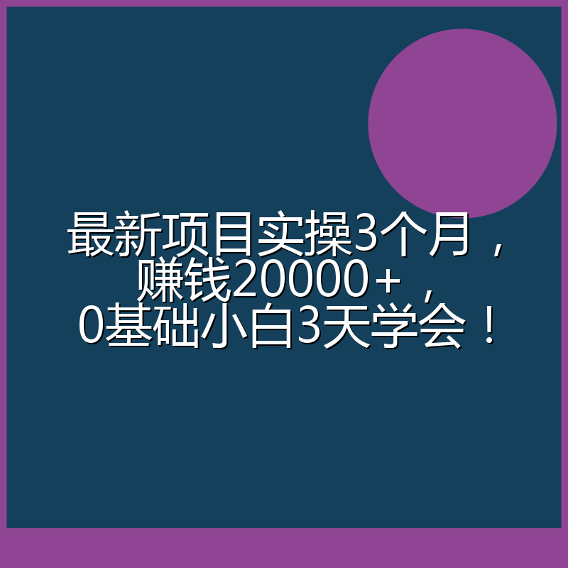 最新项目实操3个月，赚钱20000+，0基础小白3天学会！