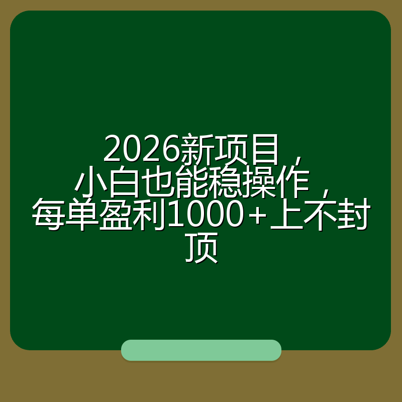 2026新项目，小白也能稳操作，每单盈利1000+上不封顶
