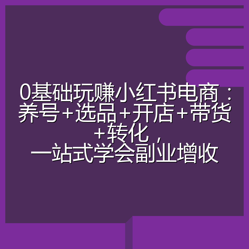 0基础玩赚小红书电商：养号+选品+开店+带货+转化，一站式学会副业增收