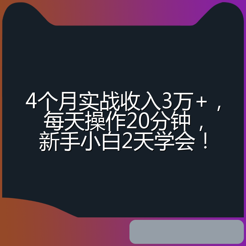 4个月实战收入3万+，每天操作20分钟，新手小白2天学会！