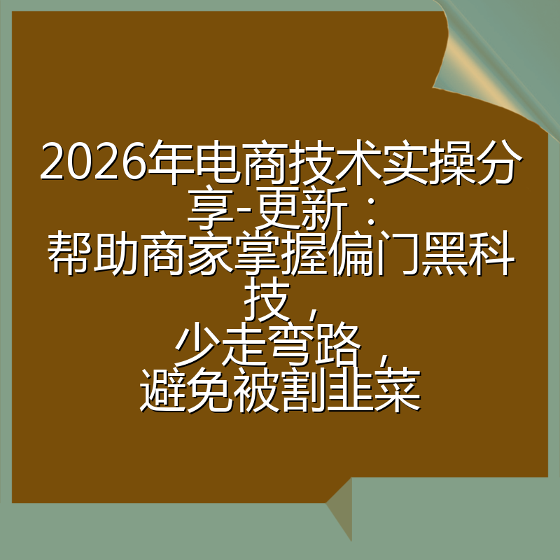 2026年电商技术实操分享-更新：帮助商家掌握偏门黑科技，少走弯路，避免被割韭菜