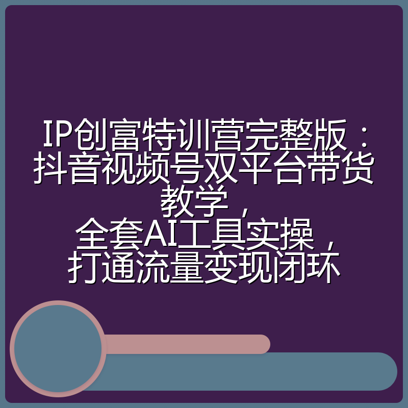 IP创富特训营完整版：抖音视频号双平台带货教学，全套AI工具实操，打通流量变现闭环