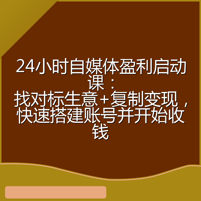 24小时自媒体盈利启动课：找对标生意+复制变现，快速搭建账号并开始收钱