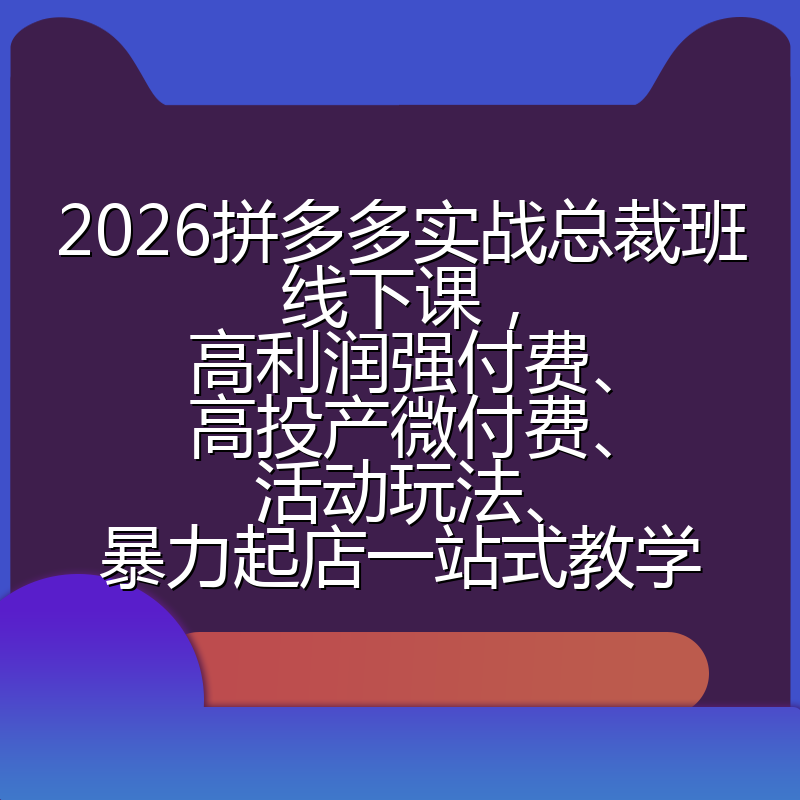 2026拼多多实战总裁班线下课，高利润强付费、高投产微付费、活动玩法、暴力起店一站式教学