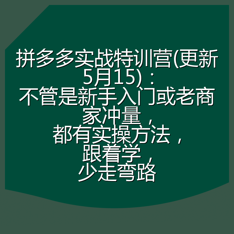 拼多多实战特训营(更新5月15)：不管是新手入门或老商家冲量，都有实操方法，跟着学，少走弯路