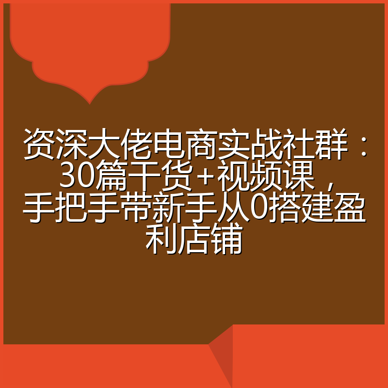资深大佬电商实战社群：30篇干货+视频课，手把手带新手从0搭建盈利店铺