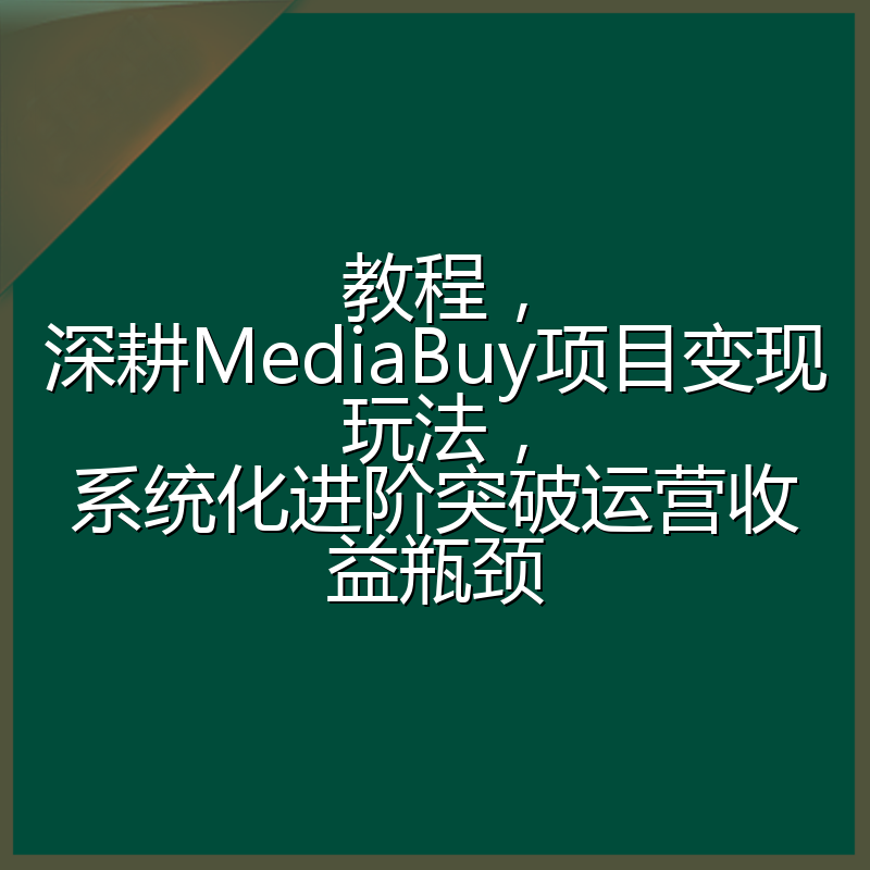 教程，深耕MediaBuy项目变现玩法，系统化进阶突破运营收益瓶颈