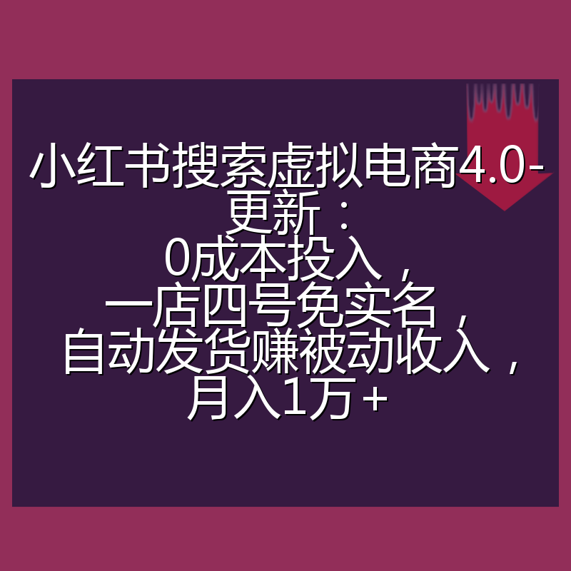小红书搜索虚拟电商4.0-更新:0成本投入,一店四号免实名,自动发货赚被动收入,月入1万+
