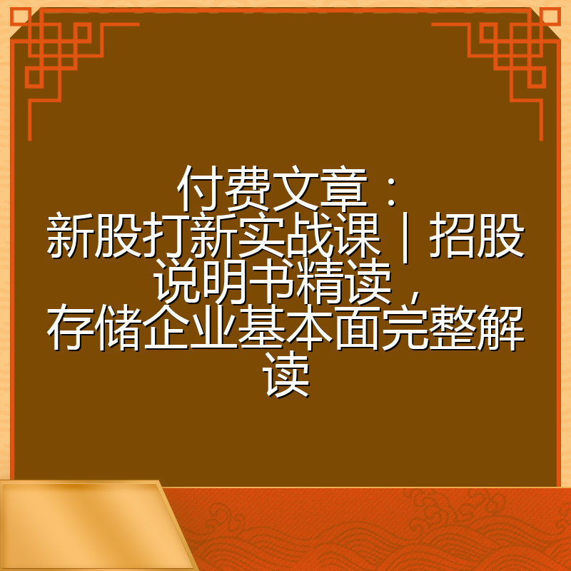 付费文章:新股打新实战课|招股说明书精读,存储企业基本面完整解读