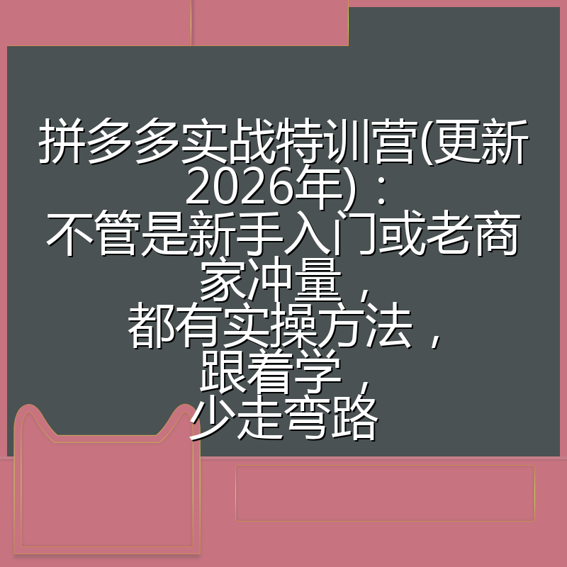 拼多多实战特训营(更新2026年)：不管是新手入门或老商家冲量，都有实操方法，跟着学，少走弯路
