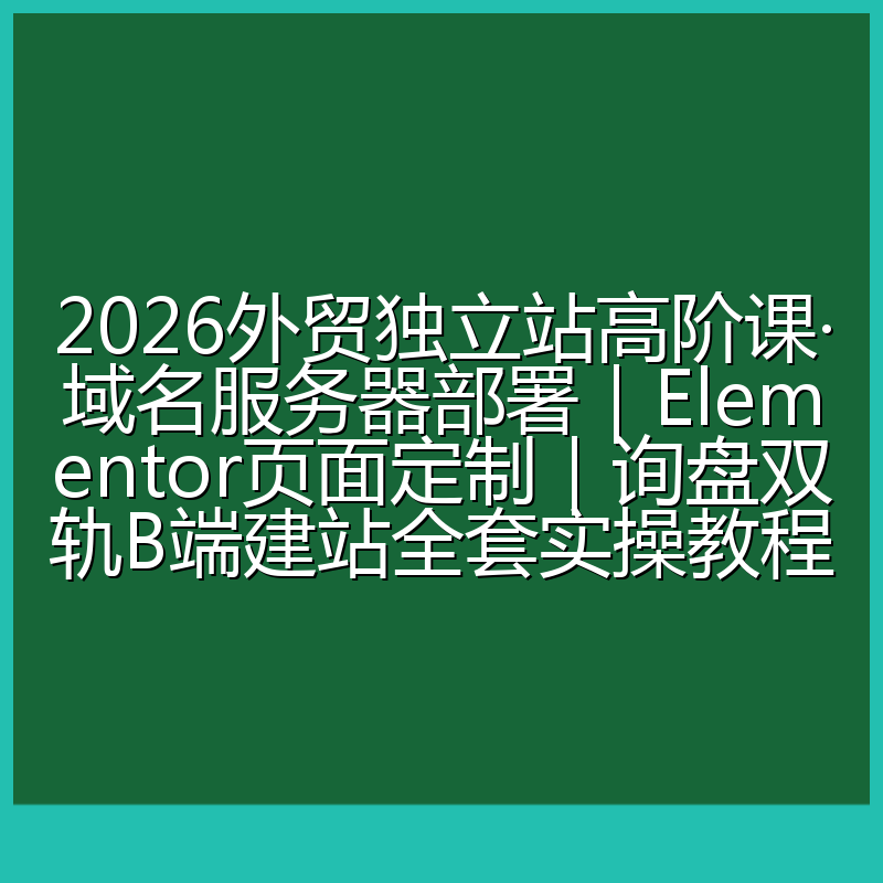 2026外贸独立站高阶课·域名服务器部署|Elementor页面定制|询盘双轨B端建站全套实操教程