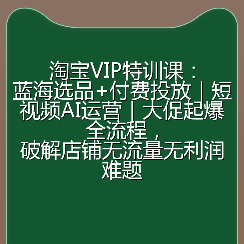 淘宝VIP特训课:蓝海选品+付费投放|短视频AI运营|大促起爆全流程,破解店铺无流量无利润难题