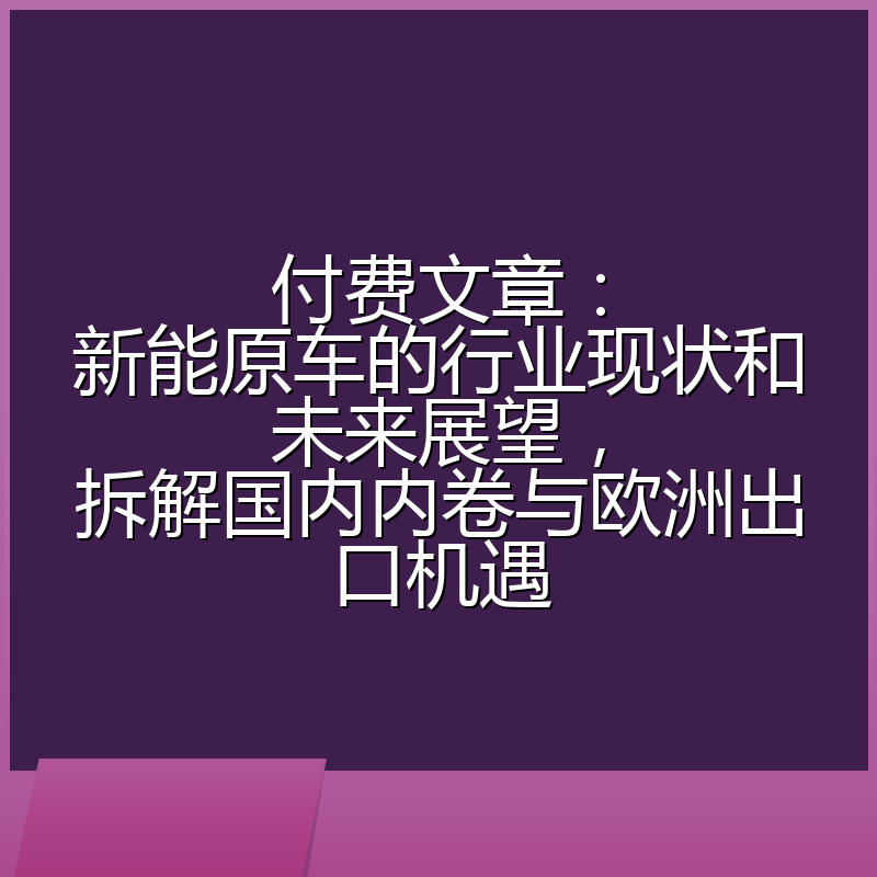 付费文章：新能原车的行业现状和未来展望，拆解国内内卷与欧洲出口机遇
