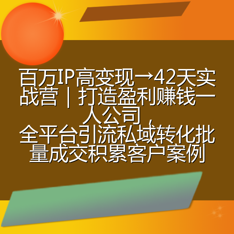 百万IP高变现→42天实战营|打造盈利赚钱一人公司,全平台引流私域转化批量成交积累客户案例