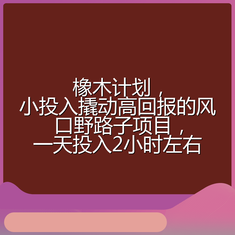 橡木计划，小投入撬动高回报的风口野路子项目，一天投入2小时左右