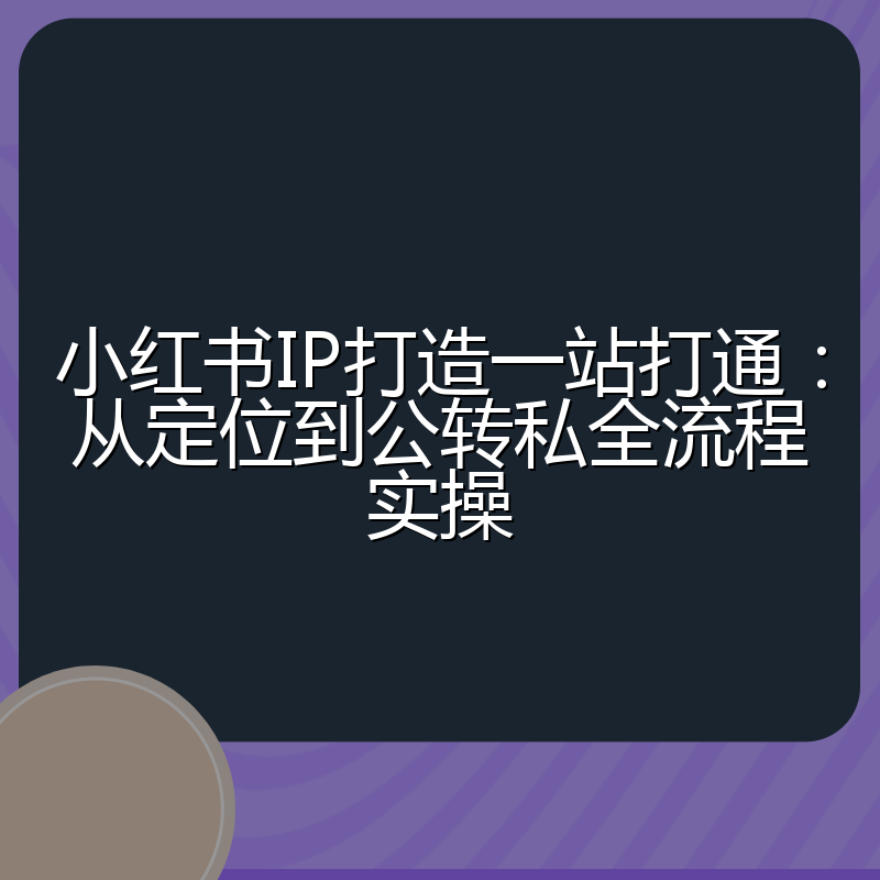 小红书IP打造一站打通：从定位到公转私全流程实操