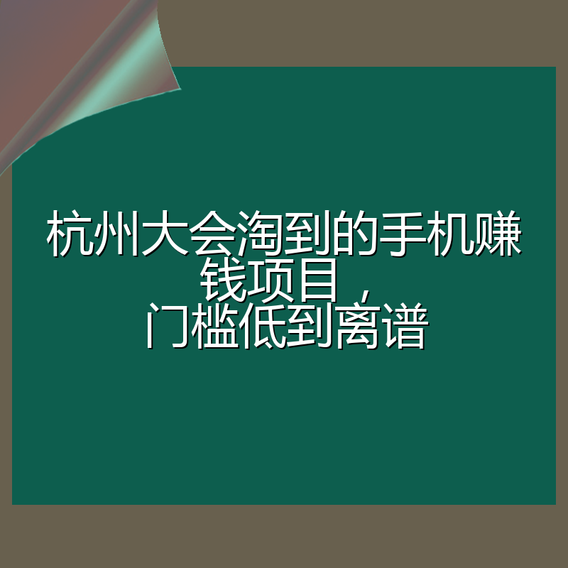 杭州大会淘到的手机赚钱项目,门槛低到离谱