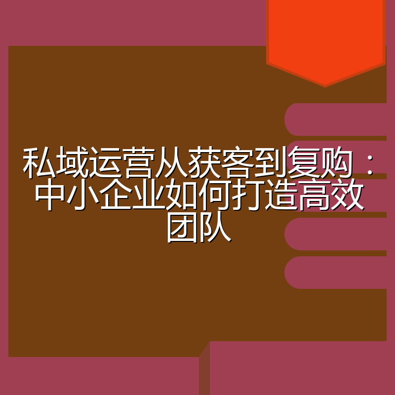 私域运营从获客到复购:中小企业如何打造高效团队