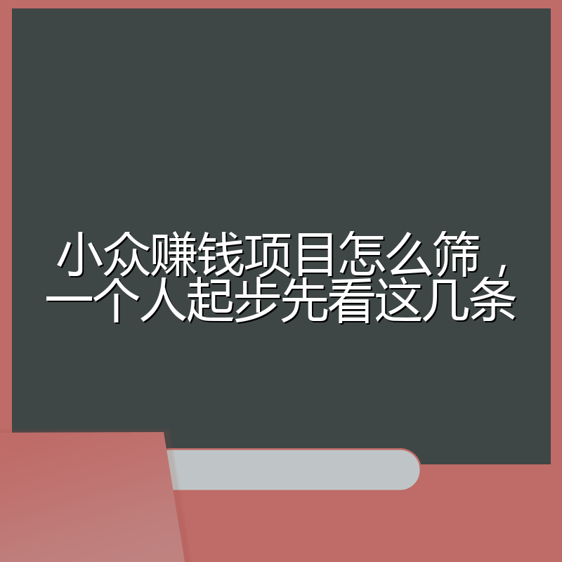 小众赚钱项目怎么筛,一个人起步先看这几条